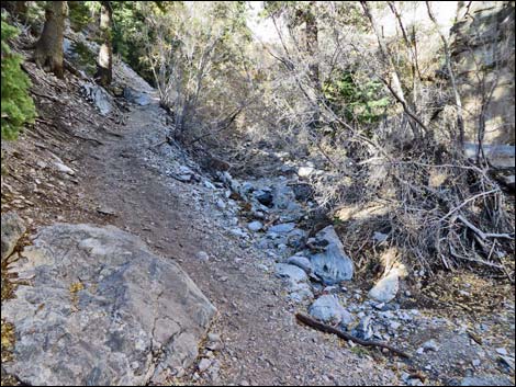 Fletcher Canyon Trail