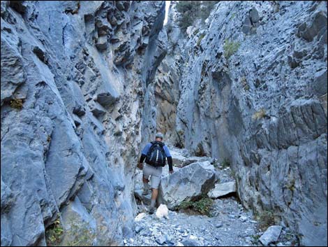 Fletcher Canyon Trail