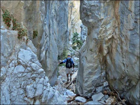 Fletcher Canyon Trail