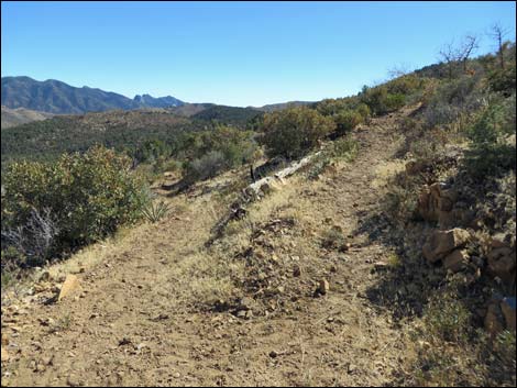 Griffith Shadow South Trail