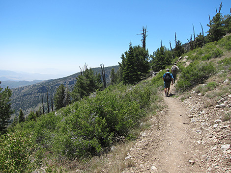 Griffith Peak Trail