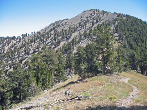 Griffith Peak