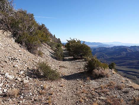 Harris Saddle Trail