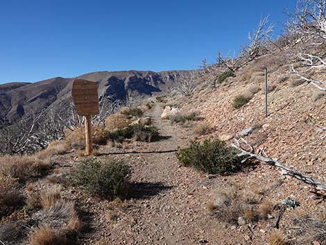 Harris Saddle Trail