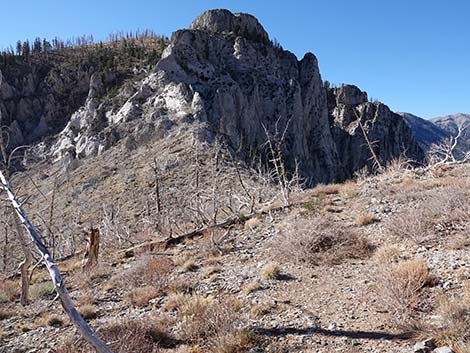 Harris Saddle Trail