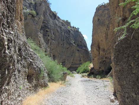 Kyle canyon slots trail