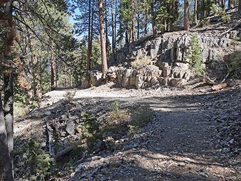 Cathedral Rock Trail