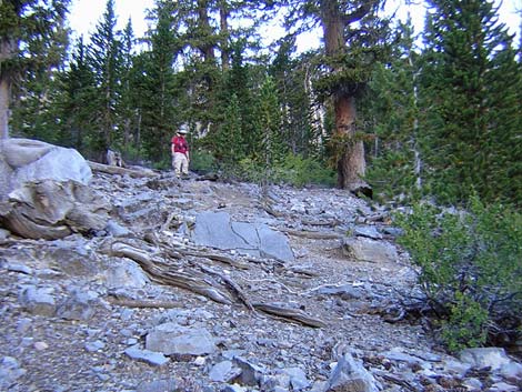 Hiking Around Las Vegas, Spring Mountains, Mummy Mountain, East Face ...