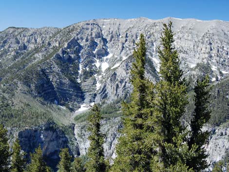 North Loop Trail -- North Ridge