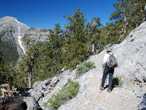 North Loop Trail -- North Ridge