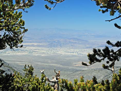 Mt Charleston, East Face