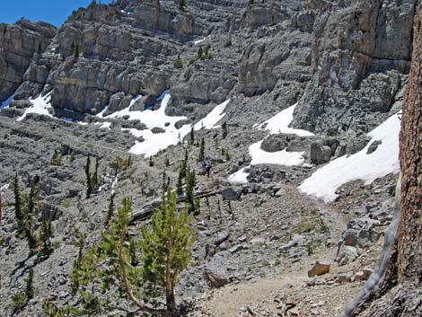 Mt Charleston, East Face