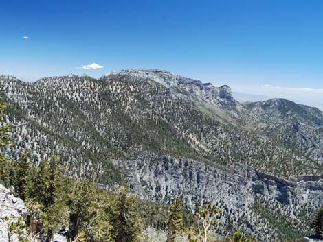 Mt Charleston, East Face