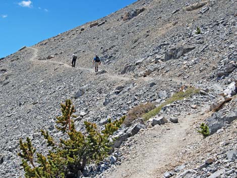 Mt Charleston, East Face