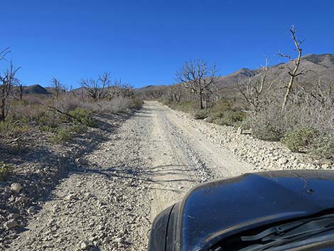 Harris Mountain Road