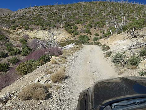 Harris Mountain Road