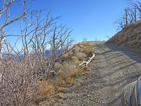 Harris Mountain Road