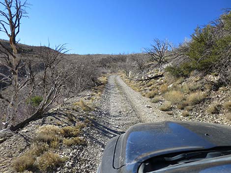 Harris Mountain Road