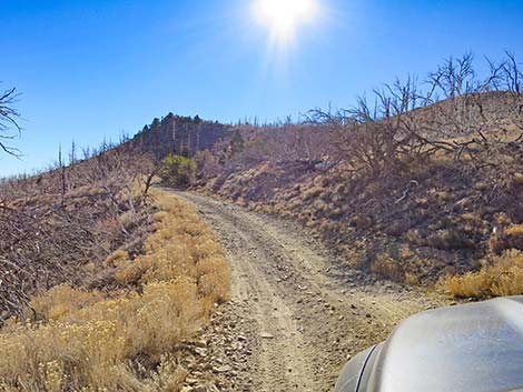 Harris Mountain Road