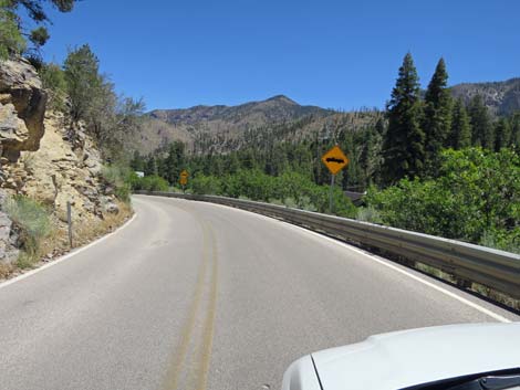 Kyle Canyon Road