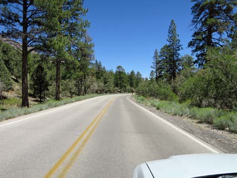 Kyle Canyon Road