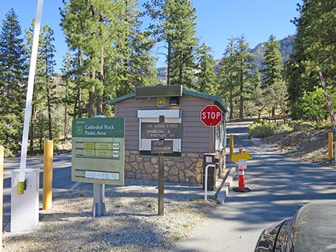 Cathedral Rock Picnic Area