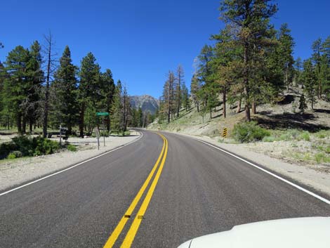 Lee Canyon Road