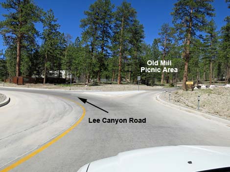 Lee Canyon Road