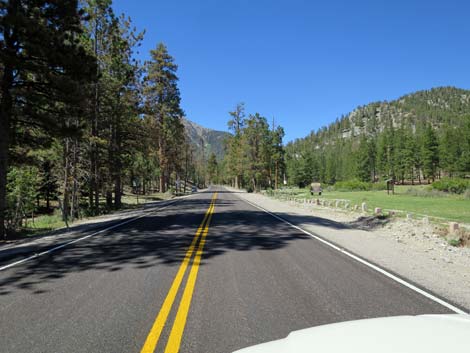 Lee Canyon Road