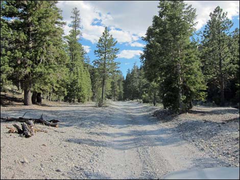 Mack's Canyon Road