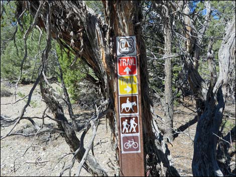 Sawmill Loop Trail