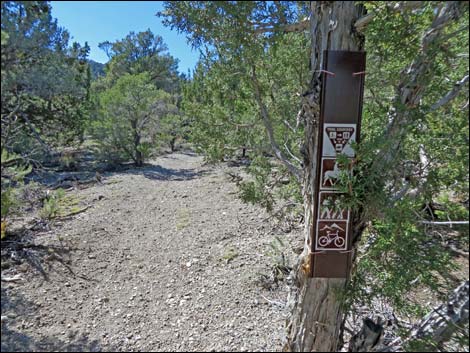 Sawmill Loop Trail