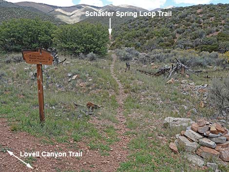 Schaefer Spring Trail