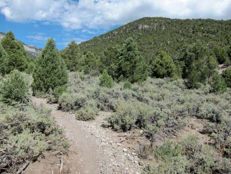 Lower Telephone Canyon Trail