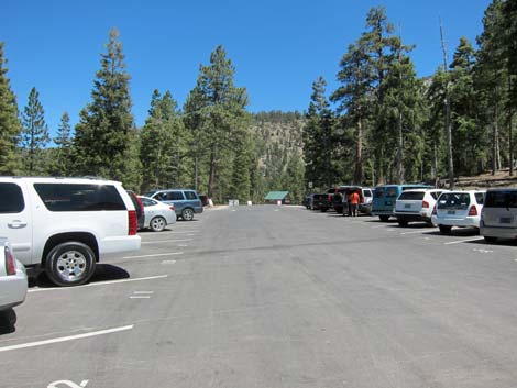 Cathedral Rock Trailhead