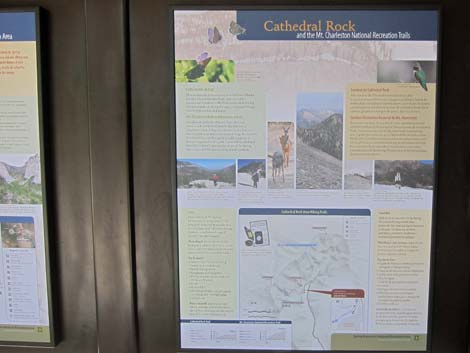 Cathedral Rock Trailhead