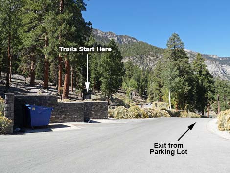 Cathedral Rock Trailhead