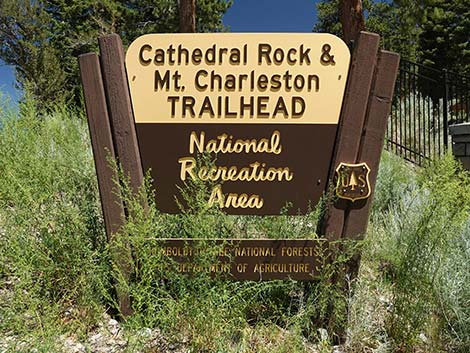 Cathedral Rock Trailhead