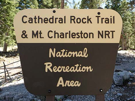 Cathedral Rock Trailhead