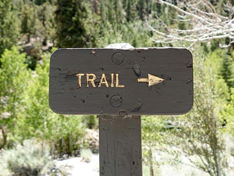 Echo Trailhead