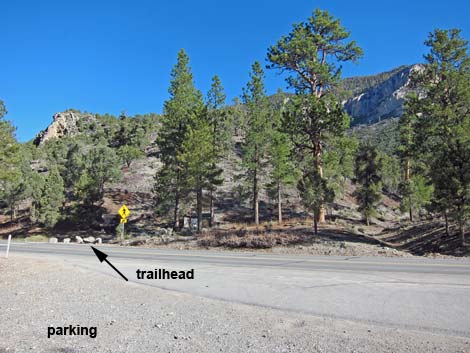 Fletcher Canyon Trailhead