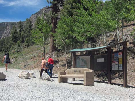 Mary Jane Falls Trailhead