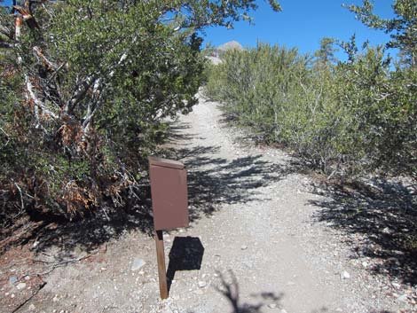 North Loop Trailhead