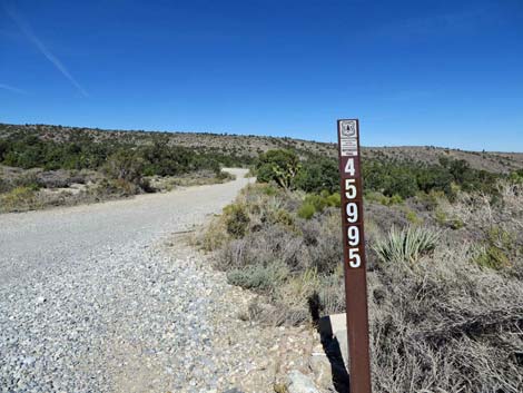 Sawmill Gravel Pit Trailhead