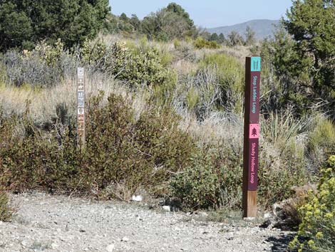 Step Ladder Trailhead