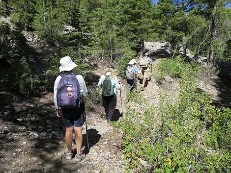 Wildhorse Loop Trail