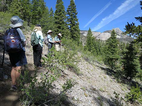 Wildhorse Loop Trail