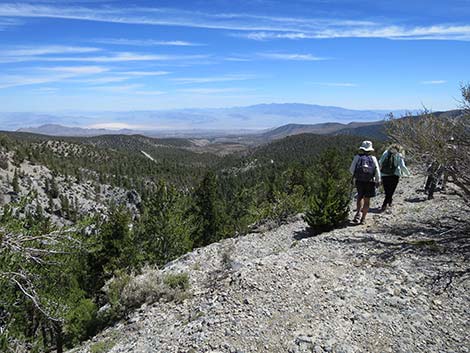 Wildhorse Loop Trail