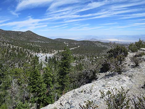 Wildhorse Loop Trail