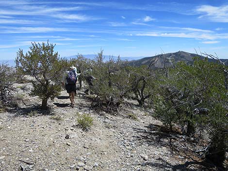 Wildhorse Loop Trail